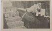 Mount-Abu-Picture-Post-Card-of-Black-&-white-Gaomukh.