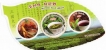 Korean-Tea-Culture-Variety-leaf-Stamp