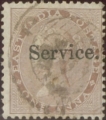 INDIA-QV-Small-Service