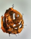 Water-Color-Painting-on-
