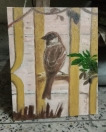 The-brownfinch