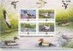 INDEPEX-Asiann-Calcutta,-MIniature-Sheet-of-India-issued-on--2000,-MNH.